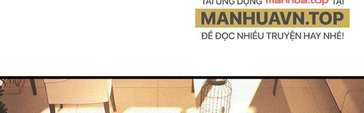 Trải Nghiệm Trở Thành Huyết Tộc Chapter 63 - Trang 3