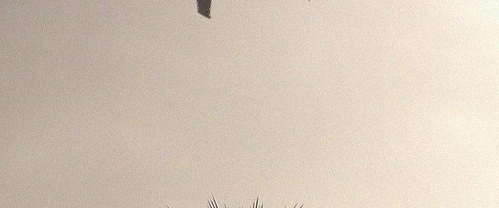 Trải Nghiệm Trở Thành Huyết Tộc Chapter 68 - Trang 3