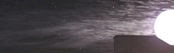 Trải Nghiệm Trở Thành Huyết Tộc Chapter 69 - Trang 2