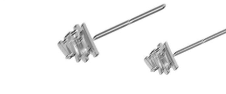 Trải Nghiệm Trở Thành Huyết Tộc Chapter 69 - Trang 2