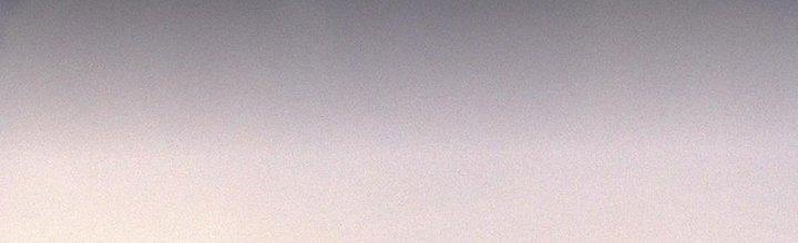 Trải Nghiệm Trở Thành Huyết Tộc Chapter 70 - Trang 3