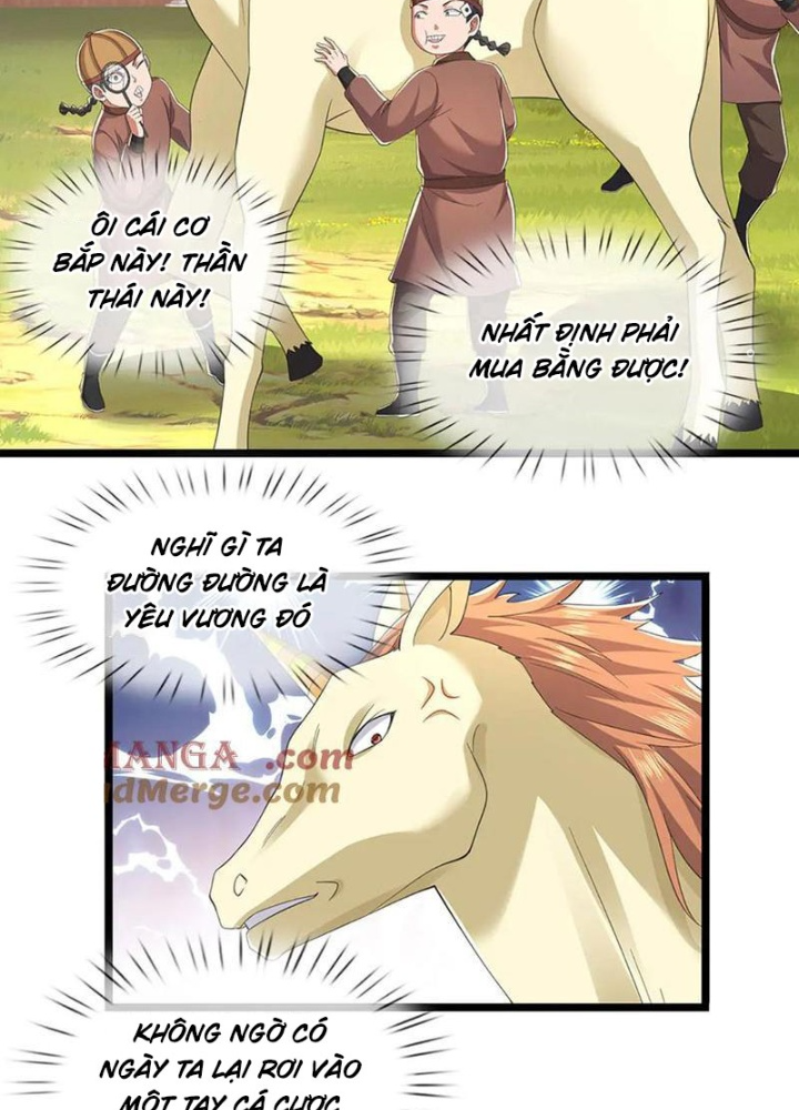 Ta Có Thể Cướp Đoạt Cơ Duyên Chapter 67 - Trang 2