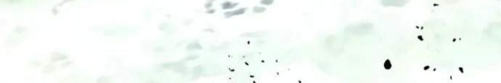 Ván Cược Của Chúa Chapter 52 - Next Chapter 53