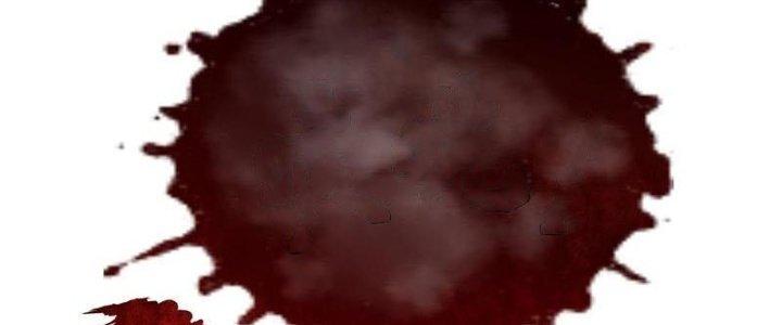 Ta Liều Mạng Mạnh Lên Chapter 14 - Trang 3