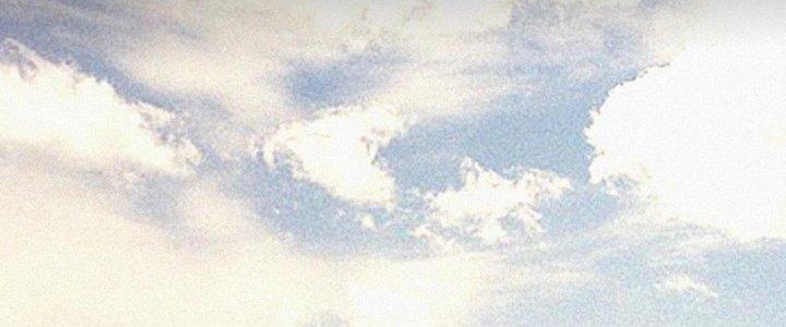 Trải Nghiệm Trở Thành Huyết Tộc Chapter 72 - Trang 3