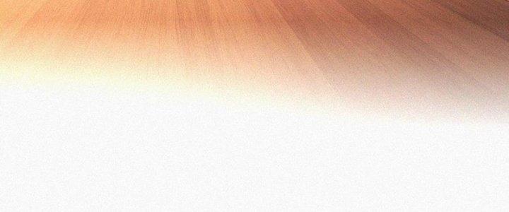 Trải Nghiệm Trở Thành Huyết Tộc Chapter 73 - Trang 2