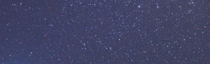 Trải Nghiệm Trở Thành Huyết Tộc Chapter 74 - Trang 3