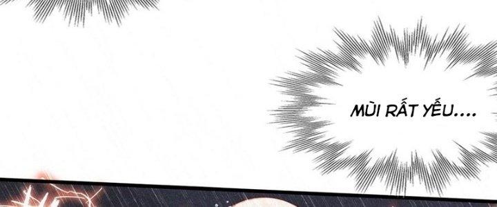 Trải Nghiệm Trở Thành Huyết Tộc Chapter 74 - Trang 3