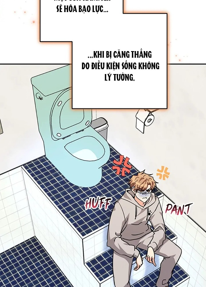 Anh Em Của Tôi Đều Là Nhân Vật Chính Chapter 38 - Trang 2
