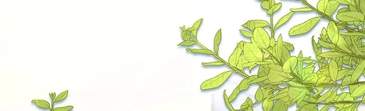 Anh Em Của Tôi Đều Là Nhân Vật Chính Chapter 40 - Trang 2