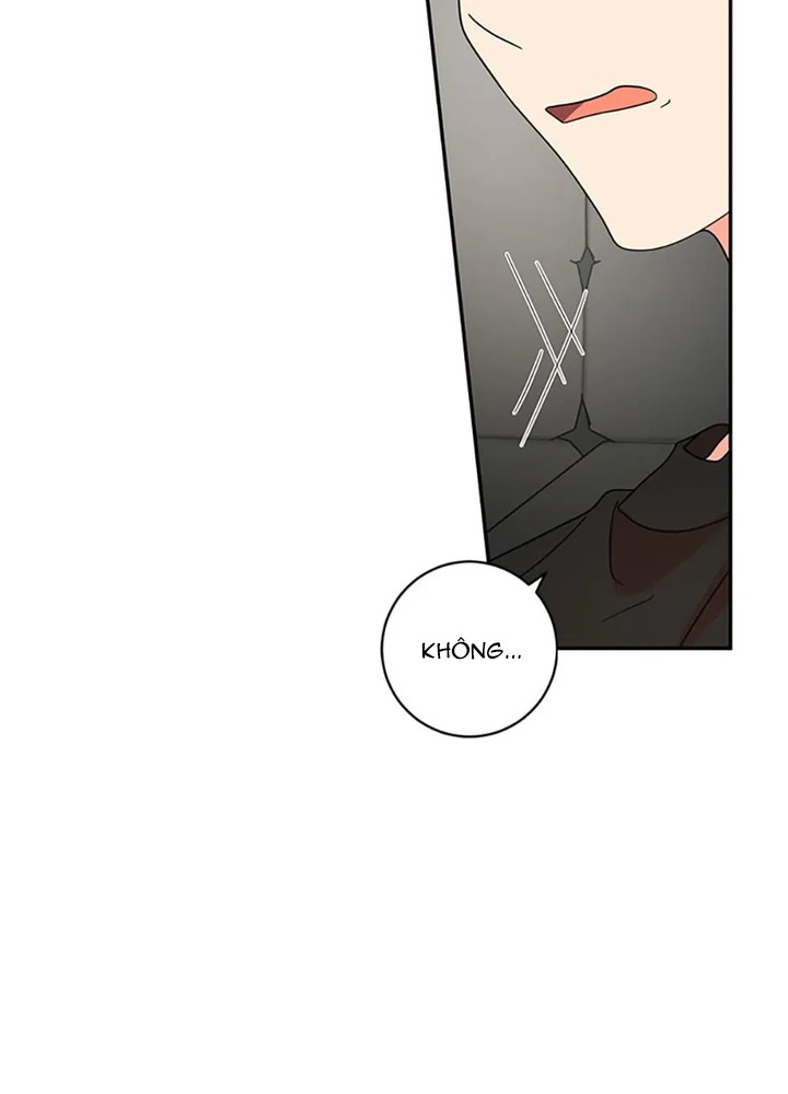 Anh Em Của Tôi Đều Là Nhân Vật Chính Chapter 48 - Trang 2