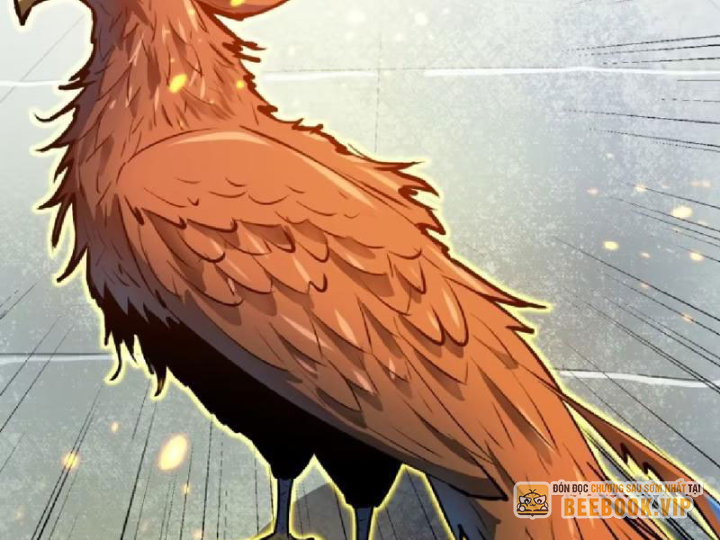 Tu Luyện Nhàn Hạ Bắt Đầu Từ Nữ Đồ Đệ Chapter 17 - Trang 3