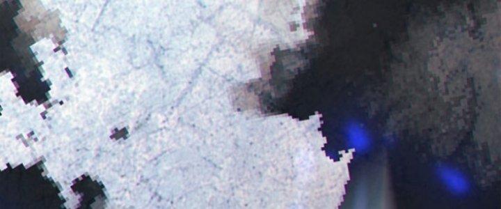 Tai Ách Thu Dung Sở Chapter 7 - Next 