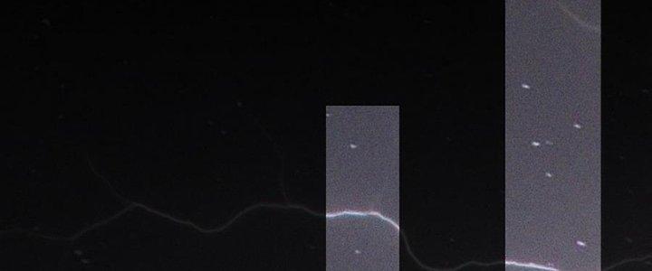 Trải Nghiệm Trở Thành Huyết Tộc Chapter 76 - Trang 3