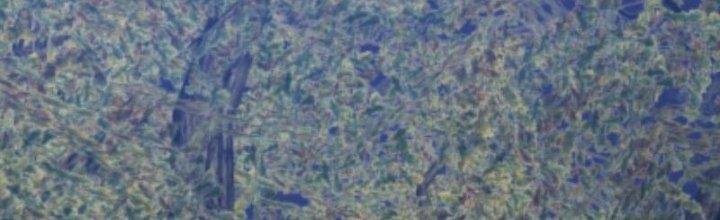 Trường Sinh Đạo Chapter 90 - Trang 2