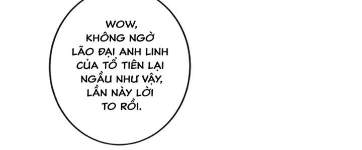 Ta Thật Sự Không Phải Thiên Mệnh Chi Tử Chapter 17 - Trang 3