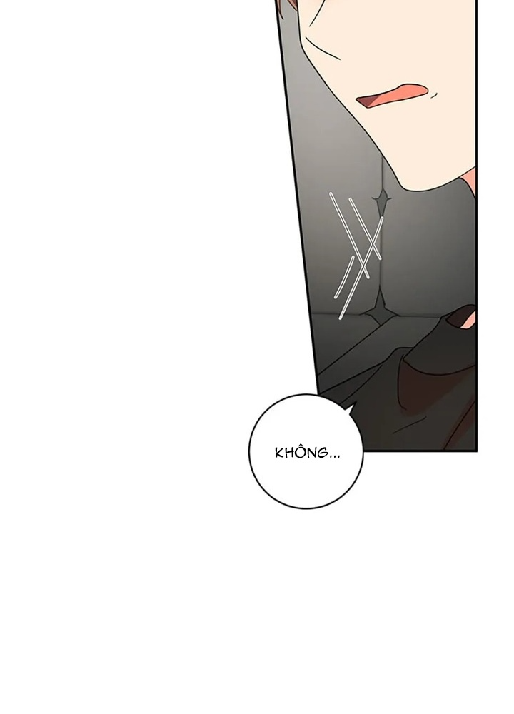 Anh Em Của Tôi Đều Là Nhân Vật Chính Chapter 49 - Trang 2