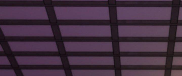 Cẩu Lương Thành Chuẩn Thánh, Ta Được Nữ Đế Triệu Hoán Chapter 16 - Trang 3