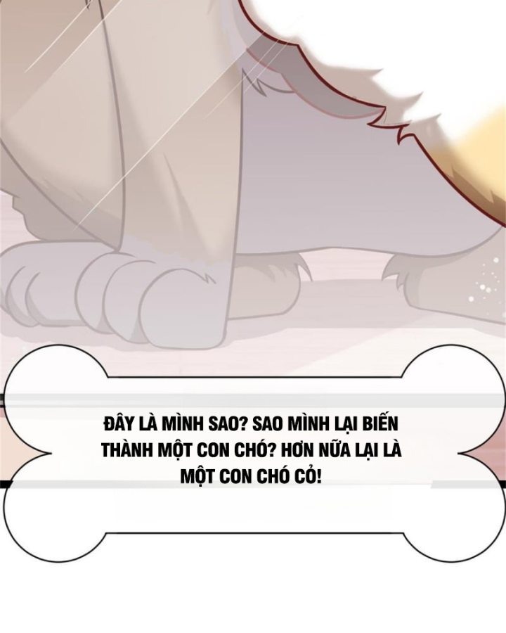 Kế Hoạch Nuôi Dưỡng Streamer Của Cẩu Hoàng Chapter 1 - Trang 3