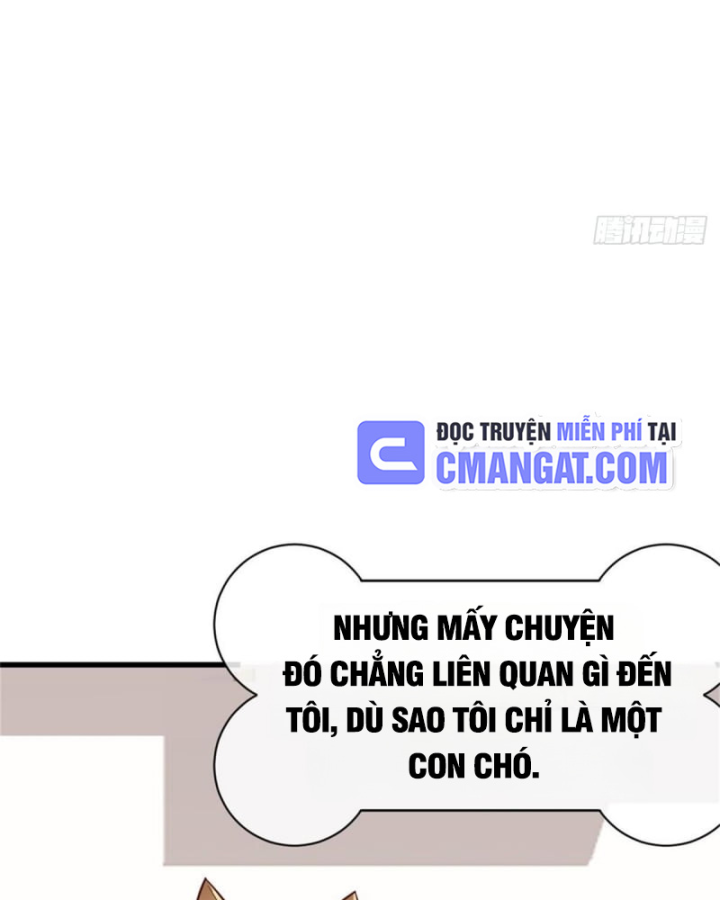 Kế Hoạch Nuôi Dưỡng Streamer Của Cẩu Hoàng Chapter 1 - Trang 3