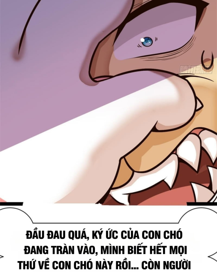 Kế Hoạch Nuôi Dưỡng Streamer Của Cẩu Hoàng Chapter 1 - Trang 3