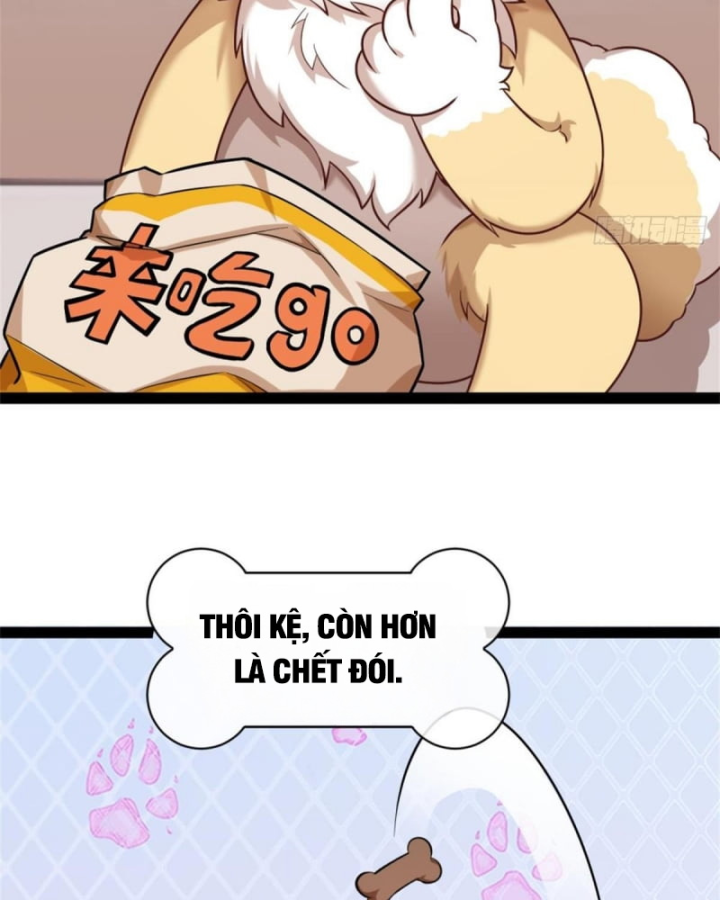 Kế Hoạch Nuôi Dưỡng Streamer Của Cẩu Hoàng Chapter 1 - Trang 3