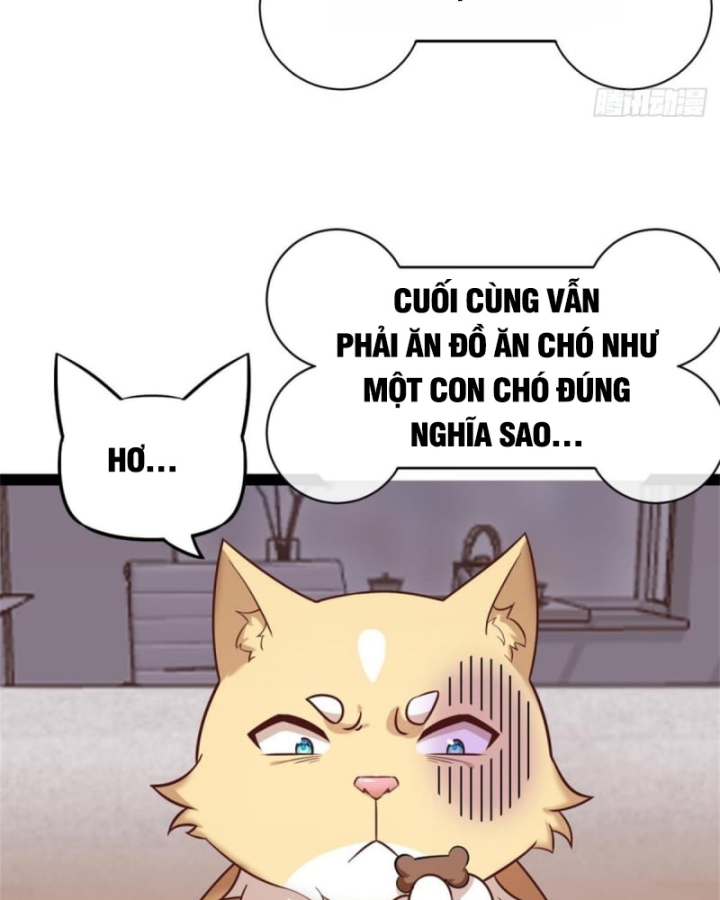Kế Hoạch Nuôi Dưỡng Streamer Của Cẩu Hoàng Chapter 1 - Trang 3