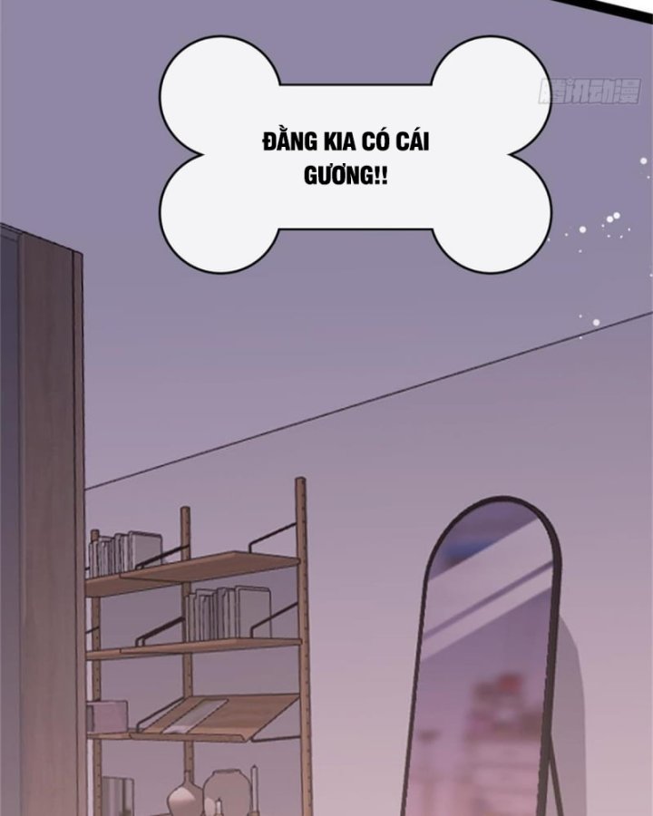 Kế Hoạch Nuôi Dưỡng Streamer Của Cẩu Hoàng Chapter 1 - Trang 3