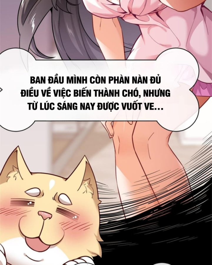 Kế Hoạch Nuôi Dưỡng Streamer Của Cẩu Hoàng Chapter 1 - Trang 3