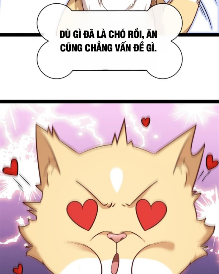 Kế Hoạch Nuôi Dưỡng Streamer Của Cẩu Hoàng Chapter 1 - Trang 3