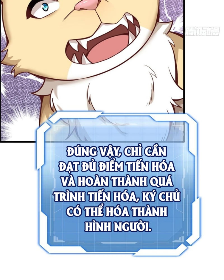 Kế Hoạch Nuôi Dưỡng Streamer Của Cẩu Hoàng Chapter 1 - Trang 3