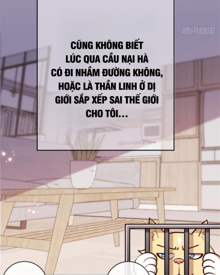 Kế Hoạch Nuôi Dưỡng Streamer Của Cẩu Hoàng Chapter 1 - Trang 3