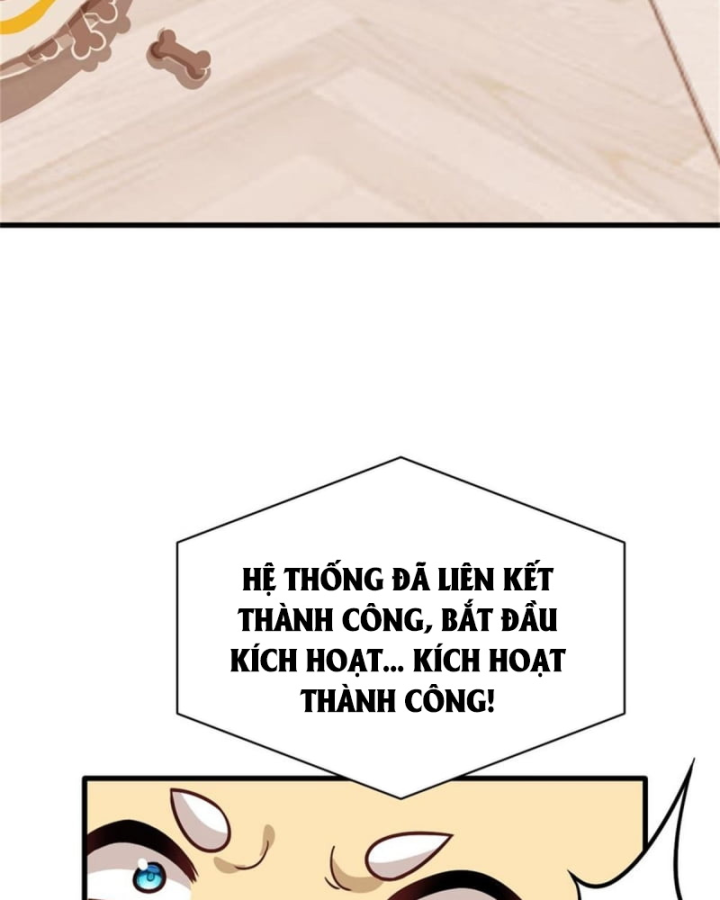 Kế Hoạch Nuôi Dưỡng Streamer Của Cẩu Hoàng Chapter 1 - Trang 3