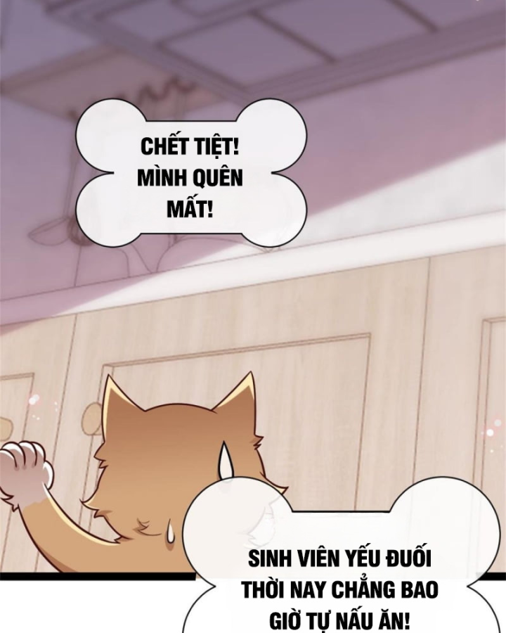 Kế Hoạch Nuôi Dưỡng Streamer Của Cẩu Hoàng Chapter 1 - Trang 3