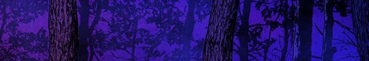 Cửa Hàng Đồ Cổ Tương Lai Chapter 6 - Trang 3