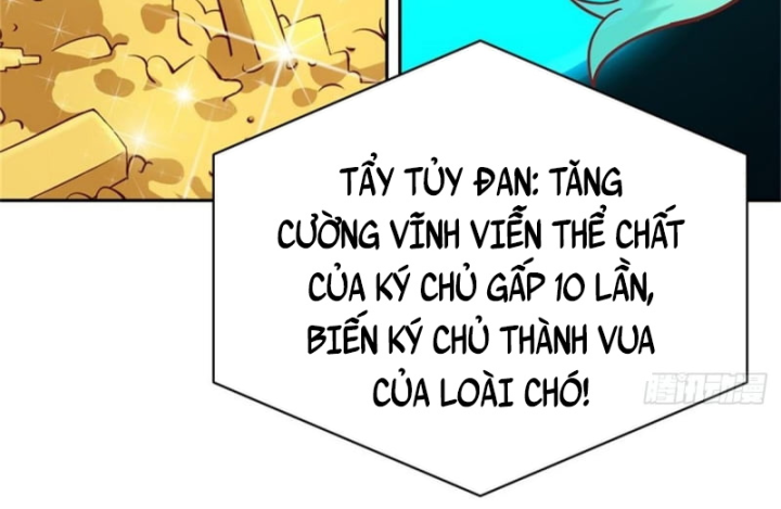 Kế Hoạch Nuôi Dưỡng Streamer Của Cẩu Hoàng Chapter 2 - Trang 3