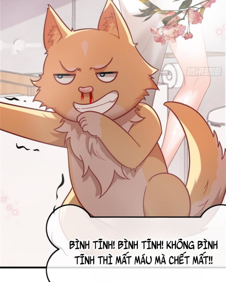 Kế Hoạch Nuôi Dưỡng Streamer Của Cẩu Hoàng Chapter 2 - Trang 3