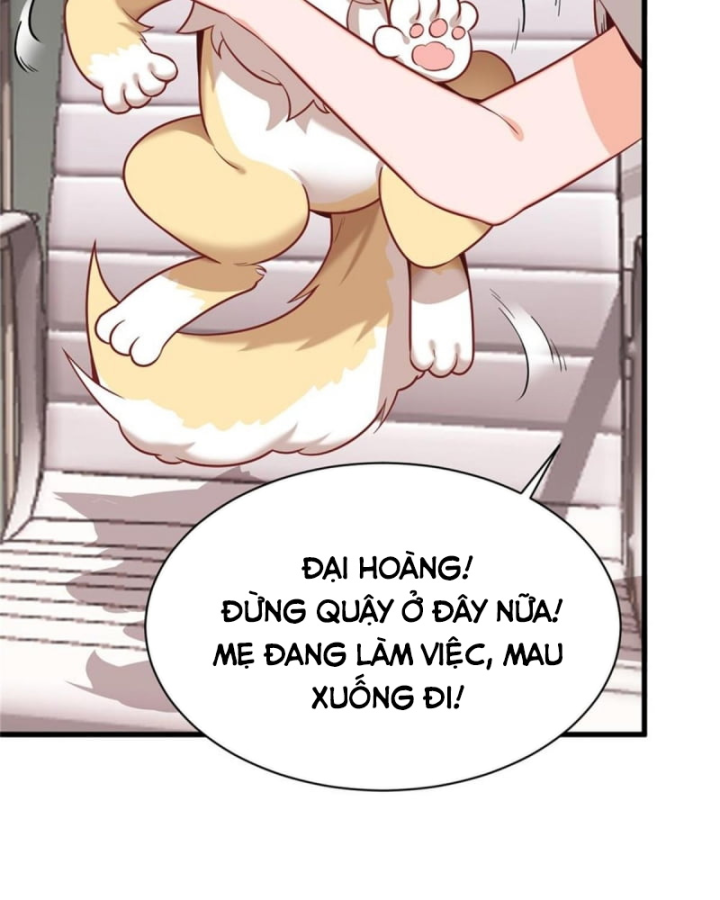 Kế Hoạch Nuôi Dưỡng Streamer Của Cẩu Hoàng Chapter 2 - Trang 3