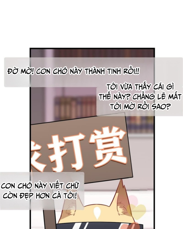 Kế Hoạch Nuôi Dưỡng Streamer Của Cẩu Hoàng Chapter 2 - Trang 3