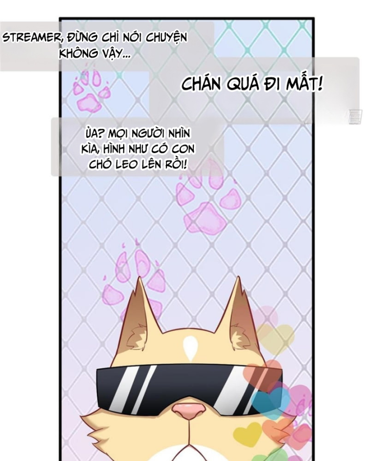 Kế Hoạch Nuôi Dưỡng Streamer Của Cẩu Hoàng Chapter 2 - Trang 3