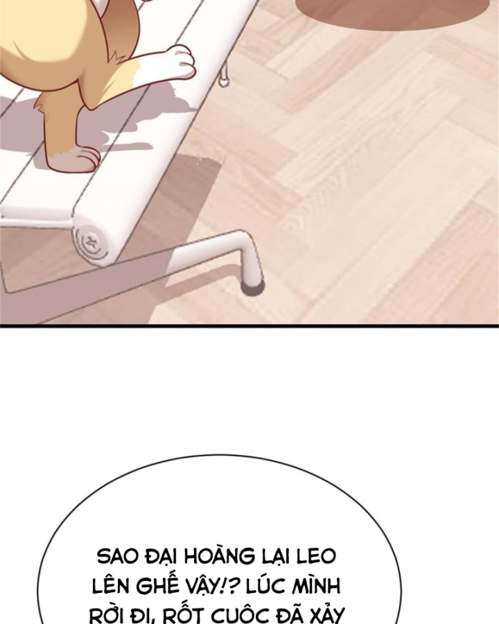 Kế Hoạch Nuôi Dưỡng Streamer Của Cẩu Hoàng Chapter 2 - Trang 3