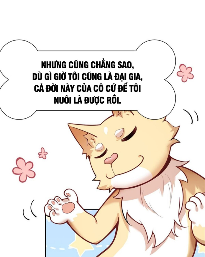 Kế Hoạch Nuôi Dưỡng Streamer Của Cẩu Hoàng Chapter 3 - Trang 3