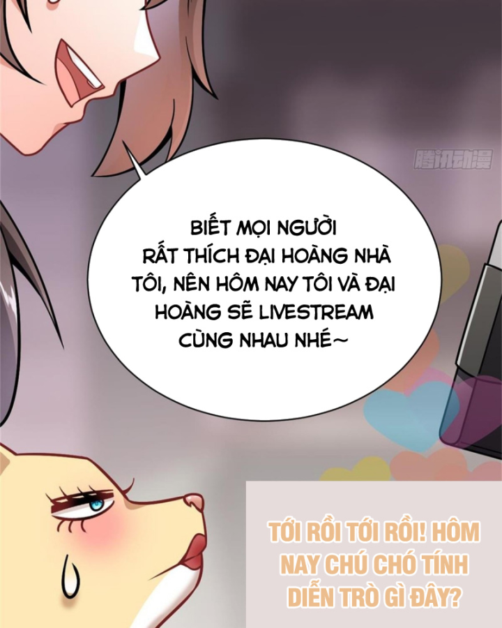 Kế Hoạch Nuôi Dưỡng Streamer Của Cẩu Hoàng Chapter 3 - Trang 3