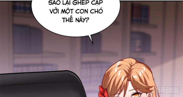 Kế Hoạch Nuôi Dưỡng Streamer Của Cẩu Hoàng Chapter 3 - Trang 3