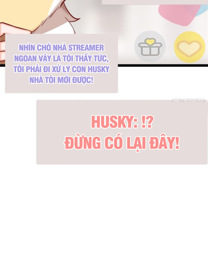 Kế Hoạch Nuôi Dưỡng Streamer Của Cẩu Hoàng Chapter 3 - Trang 3