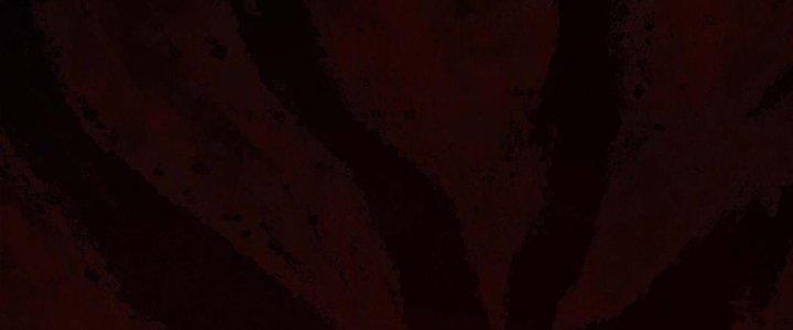 Hành Tẩu Âm Dương Chapter 12 - Trang 2