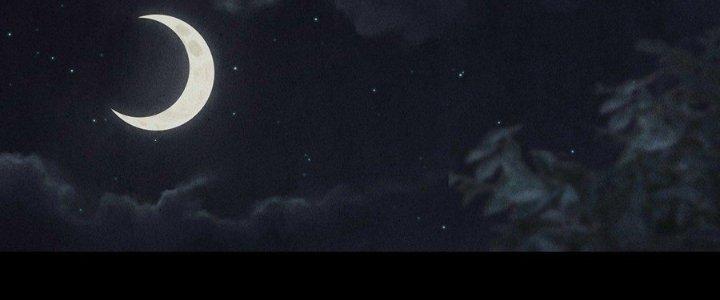 Hành Tẩu Âm Dương Chapter 14 - Trang 2