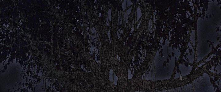 Hành Tẩu Âm Dương Chapter 16 - Trang 2