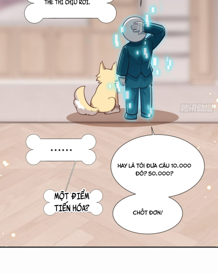 Kế Hoạch Nuôi Dưỡng Streamer Của Cẩu Hoàng Chapter 5 - Trang 3