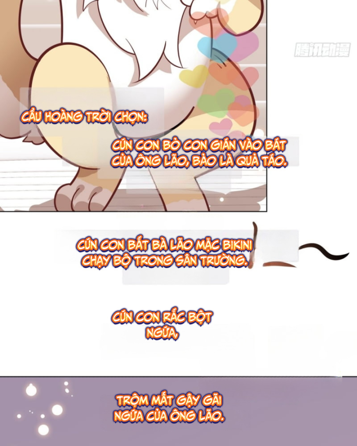Kế Hoạch Nuôi Dưỡng Streamer Của Cẩu Hoàng Chapter 5 - Trang 3